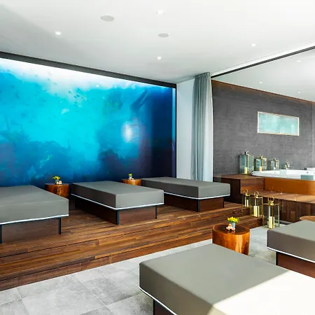 Hotel Grand Millennium Sofie